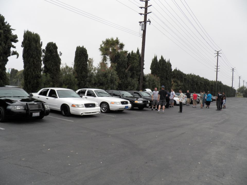 Row of white and black Ford Crown Victoria sedans with people gathered in lot