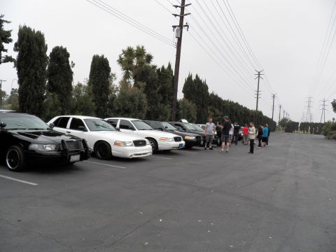 2003 Ford Crown Victoria - Black and white Crown Victoria sedans line a parking lot as enthusiasts gather under power lines.