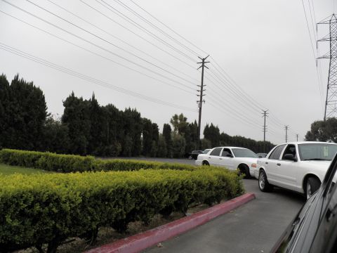 2003 Ford Crown Victoria - White Panther-platform sedans queue along a curb beneath high-voltage transmission lines.