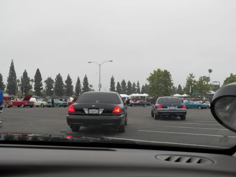 2003 Ford Crown Victoria - Black sedans roll across a show lot toward parked classics under a gray sky.