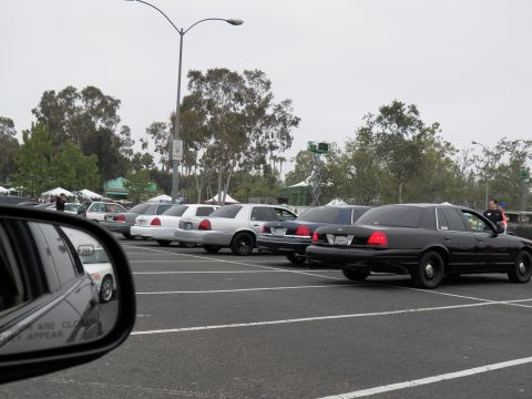 2003 Ford Crown Victoria - Black and white Panther sedans sit angle-parked, reflected in a side mirror, beside trees.