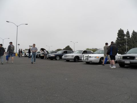 2003 Ford Crown Victoria - Attendees stroll past a long row of full-size Ford and Mercury sedans under street lamps.