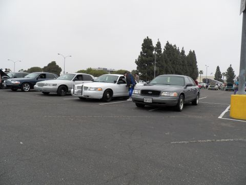 2003 Ford Crown Victoria - Silver and white full-size Ford sedans sit in marked stalls beside tall trees.