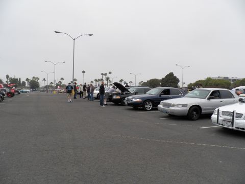 2003 Ford Crown Victoria - Show participants pop hoods on a row of sedans along a palm-lined lot under gray skies.