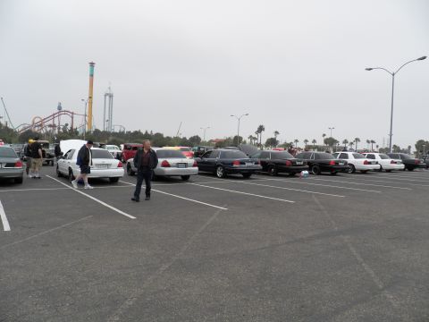 2003 Ford Crown Victoria - Black and white sedans fill a show lot as a drop tower and coaster rise behind them.