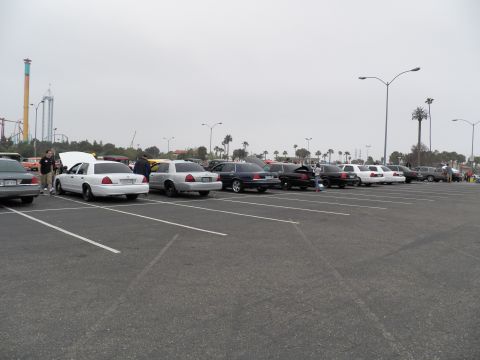 2003 Ford Crown Victoria - White sedans display open engine bays in a show lot framed by amusement park rides.