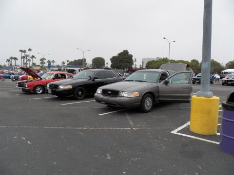 2003 Ford Crown Victoria - Gray and black Crown Victorias line up beside a red Ford Mustang under a gray sky.