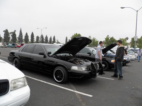 2003 Ford Crown Victoria - Three-quarter view of a black Crown Victoria with open hood among a row of show cars.
