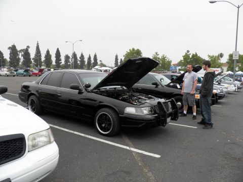 2003 Ford Crown Victoria - Black Crown Victoria displayed with hood open while two men examine the lineup of cars.
