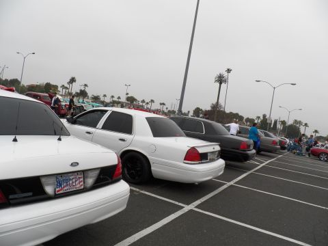 2003 Ford Crown Victoria - Rear view of a white Crown Victoria reading INTERCEPT lined up with other sedans near palms.