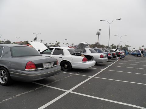 2003 Ford Crown Victoria - Rear-angle lineup of full-size Ford sedans across empty parking spaces under gray sky