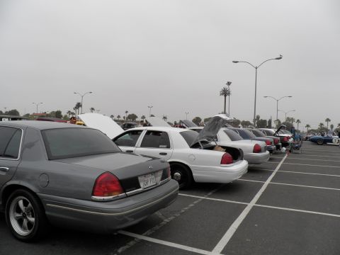 2003 Ford Crown Victoria - Back of a long row of gray and white Ford sedans; a yellow hot rod sits in the distance
