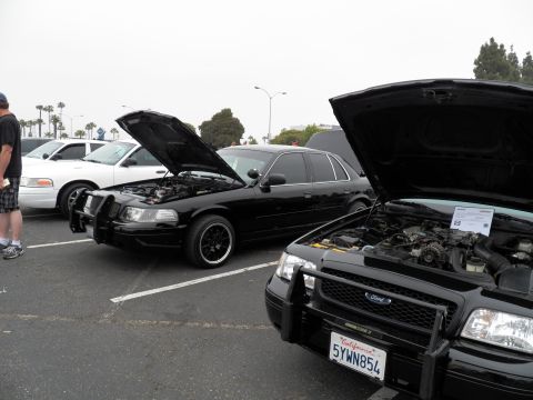 2003 Ford Crown Victoria - Front of a black Ford sedan with raised hood, push bar and plate 5YWN854; other cars at left
