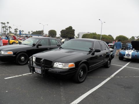 2003 Ford Crown Victoria - Black Crown Victoria with steel wheels and front push bar, plate 6YN761, second Crown Vic alongside