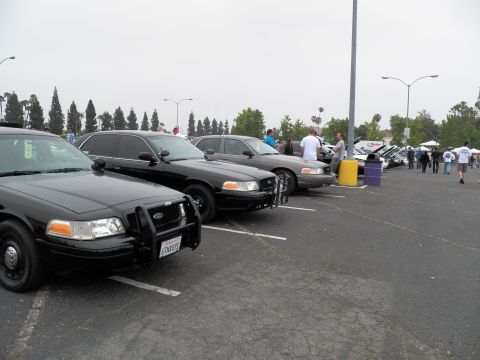 2003 Ford Crown Victoria - Black Crown Victorias lined up receding into distance, spectators and trash bins along the lot