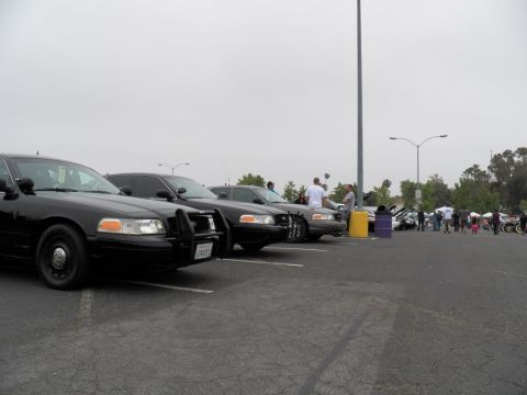 2003 Ford Crown Victoria - Black Crown Victorias parked in a row, one with push bar, spectators gathered near light pole
