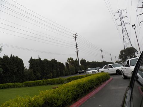 2003 Ford Crown Victoria - Cars lined along a curved driveway by trimmed hedges under gray sky with overhead power lines