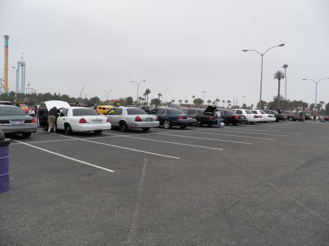 2003 Ford Crown Victoria - White and dark sedans with trunks and hoods open across a lot, drop tower and palm beyond