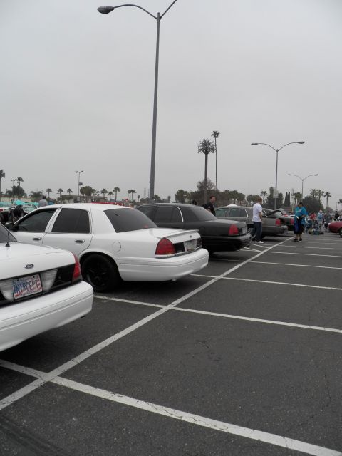 2003 Ford Crown Victoria - Two white Crown Vics and a dark sedan parked in a hazy lot with palm trees behind