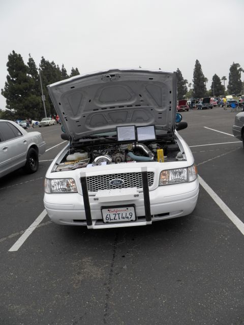 2003 Ford Crown Victoria - Front view of white Crown Victoria, hood raised over engine, push bar and California plate 6LZT449