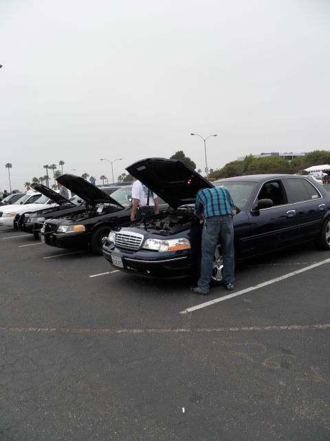 2003 Ford Crown Victoria - Lineup of hood-open full-size Fords on a lot, person leaning into a dark sedan engine bay