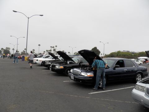 2003 Ford Crown Victoria - Diagonal row of full-size Ford sedans with raised hoods, person bent over one engine, palms behind