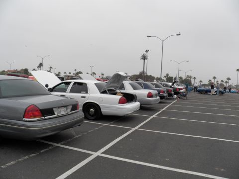 2003 Ford Crown Victoria - Trunk-and-taillight rear angle of a sedan row, gray Ford with CHP P71 plate at left, palms behind