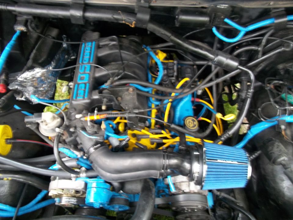 5.0L engine bay with blue plug wires and blue cone air filter intake