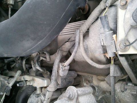 1999 Ford Crown Victoria - Close-up view of engine components, including hoses and electrical wiring.