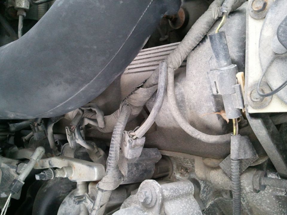 Engine bay with hoses and wiring