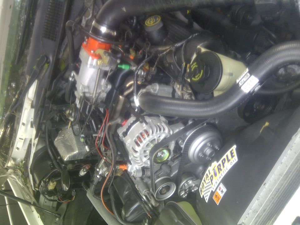 Engine bay with alternator, distributor, and hoses visible. Sticker says 'Royal Purple Synthetic Oil'
