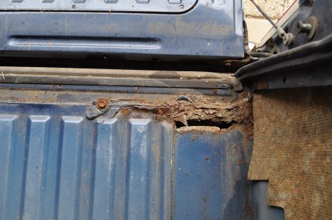 1986 Ford Bronco - The interior of a blue tailgate shows extensive rust damage near the hinge assembly.