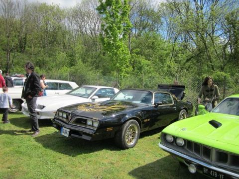1991 Ford LTD Crown Victoria - A black 1977 Pontiac Firebird Trans Am is displayed alongside other vehicles at an outdoor car show.