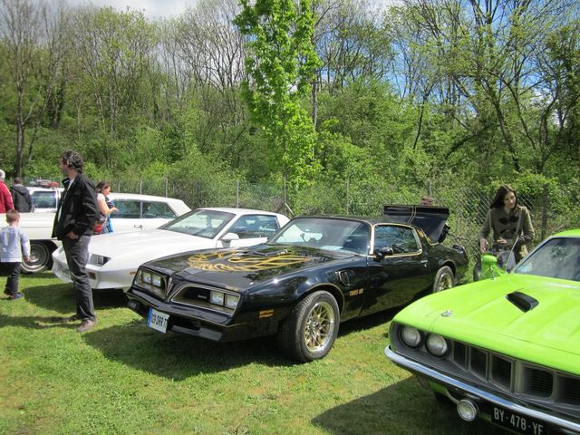 Black 1977 Pontiac Firebird Trans Am with gold hood decal and gold wheels, parked on grass