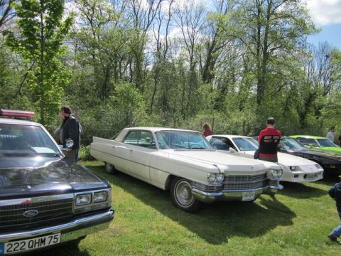 1991 Ford LTD Crown Victoria - A white Cadillac sedan is parked on a grassy field alongside other vehicles, with trees in the background.