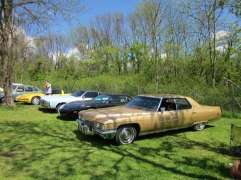 1991 Ford LTD Crown Victoria - Several vintage cars are lined up on a sunny day with trees in the background.