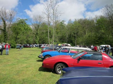 1991 Ford LTD Crown Victoria - A gathering of vehicles and people on a sunny day at an outdoor event.
