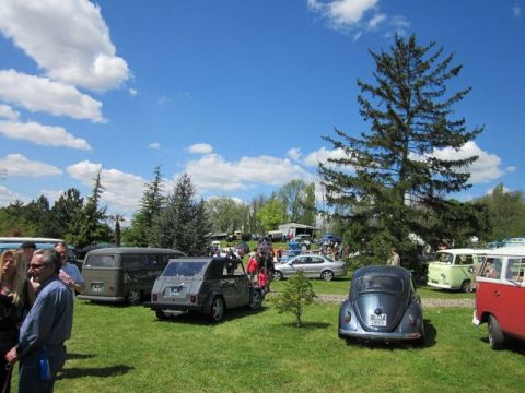 1991 Ford LTD Crown Victoria - A blue Volkswagen Beetle is parked on the grass at an outdoor event with several other vehicles visible.
