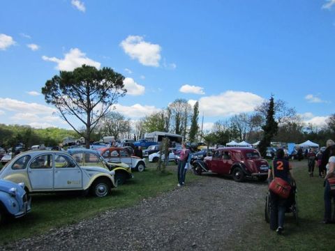 1991 Ford LTD Crown Victoria - A gathering of classic automobiles is displayed outdoors on a sunny day with scattered clouds.
