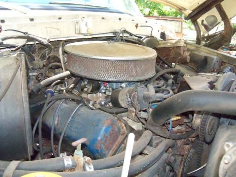 1979 Ford Bronco - Close-up of an engine bay, showing the air cleaner and valve cover with Ford branding.