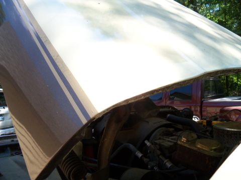 1979 Ford Bronco - The open hood of a white vehicle with blue stripes reveals its engine bay, with a maroon truck visible in the background.