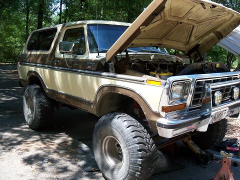 1979 Ford Bronco photo