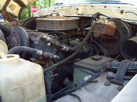 1979 Ford Bronco photo