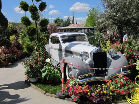 1991 Ford LTD Crown Victoria - A vintage car, likely from the 1930s or 1940s, is displayed outdoors amidst abundant floral arrangements.