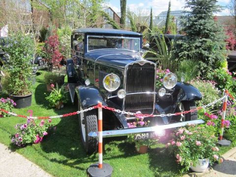 1991 Ford LTD Crown Victoria - A vintage car is displayed in a garden, with a license plate visible.