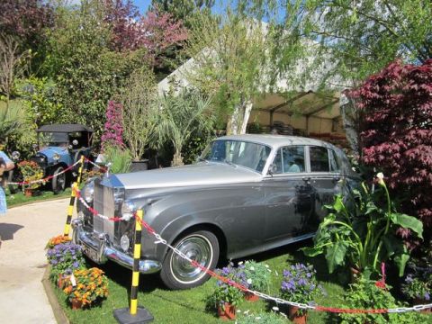 1991 Ford LTD Crown Victoria - A classic Rolls-Royce Silver Cloud is displayed outdoors with a blue vintage car in the background.