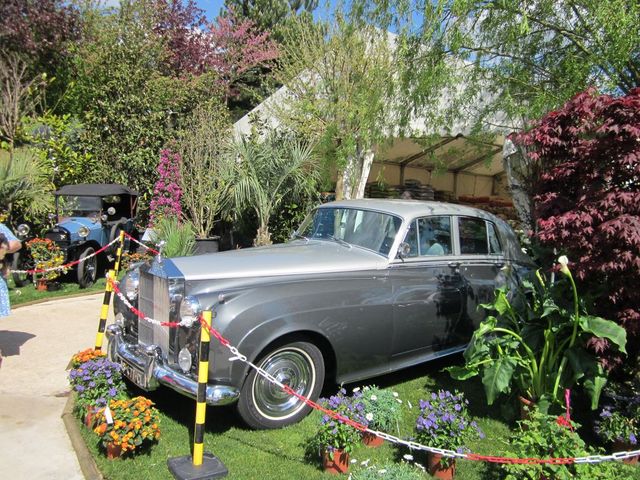 Gray and silver Rolls-Royce Silver Cloud parked on grass with flowers