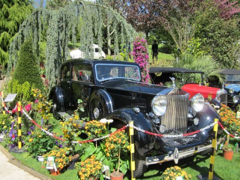 1991 Ford LTD Crown Victoria - A classic Rolls-Royce is displayed outdoors amidst floral arrangements, with other vintage vehicles in the background.