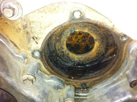 1998 Ford Crown Victoria - This image shows a heavily corroded water pump housing, indicating potential issues with the cooling system.