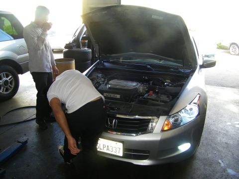 2010 Honda Accord photo